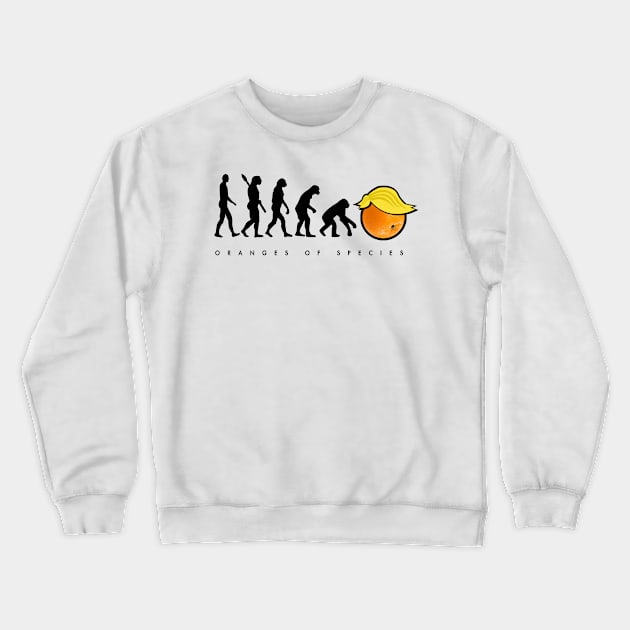 Oranges of Species Crewneck Sweatshirt by EndoMan